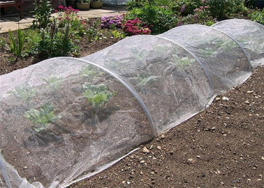 China Agricultural Garden Crops Insect Mesh Netting Vegetables Flowers Fruits Cover Insect Proof supplier