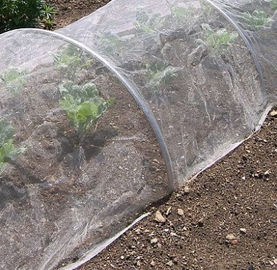 China Plastic Agricultural Greenhouse Anti Aphid White Fly Insect Net For Vegetable Protection supplier