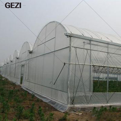 China Gezi Fine Mesh Insect Protection Net for Garden, Greenhouse, Plants, Fruit, Flowers, Crops, Insect Repellent supplier