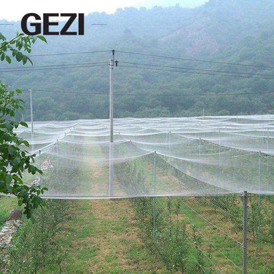 China 0.3×0.3mm 100% Virgin  UV Resistat Agricultural Insect Net Greenhous Mesh for Garden Vegetable Cover Netting Factory supplier