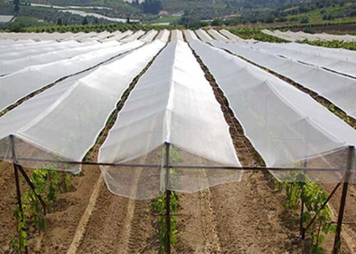 Flat Loom Weave Insect Wire Mesh , Insect Proof Garden Netting Size