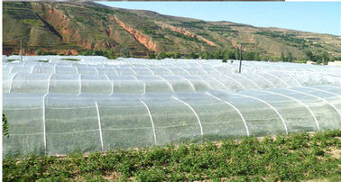 25 * 50 Mesh Insect Protection Netting High Tensile Strength For Pest Control supplier