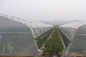 Professional Precision Insect Mesh Netting For Agriculture Greenhouse supplier