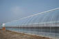 Professional Precision Insect Mesh Netting For Agriculture Greenhouse supplier