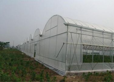 Warp Knitted Covering Fruit Tree Insect Screen Mesh Bag Protection Netting supplier