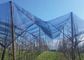 UV Treated Virgin HDPE Insect Mesh Netting Fabric 15 Years Guarantee supplier