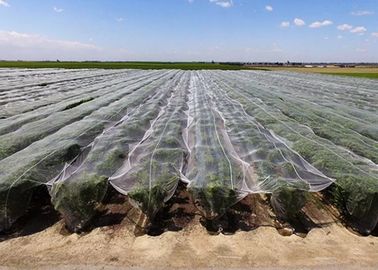 Customized Anti Hail Cover Plant Protection Netting Durable IOS Approved supplier