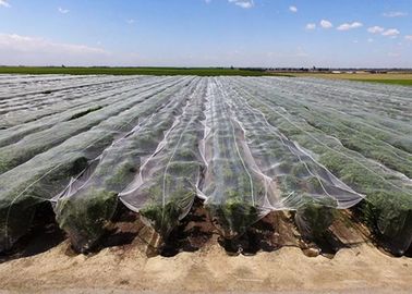 Customized Anti Hail Cover Plant Protection Netting Durable IOS Approved supplier