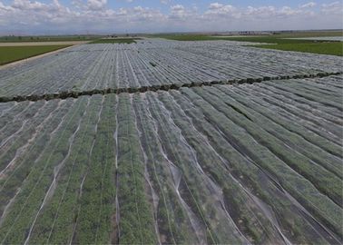 OEM Hail Proof Greenhouse Agricultural Anti Hail Nets For Apple Trees supplier
