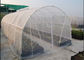 High Efficacy 80gsm Lightweight Insect Window Net 30 Mesh 3m Width supplier