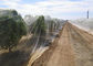 Smart Industrial Netting Systems Overhead Crop Netting ISO9001 Approved supplier