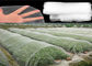 Anti-Insect, Anti -Hail Mesh Netting, Agriculture, Crop Cover Netting, Fruit Tree Cover, Greenhouse Cover Nets supplier