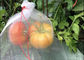 PE Fruit Saver Drawsting Fruit Protect Bags Insect Mesh Netting Bag Flower Protect supplier