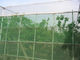 HDPE Monofilament Inst Mesh Netting 20 30 40 50 Mesh Count Anti Insect Proofing Net supplier