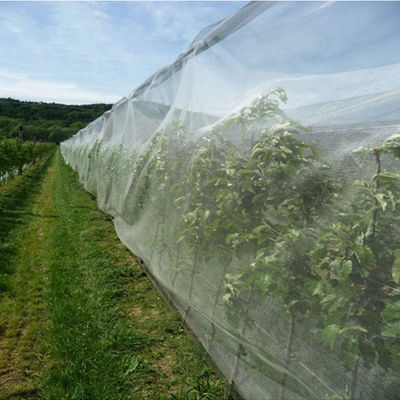 HDPE UV Resistant Netting Anti Hail for Agriculture and Gardenning supplier