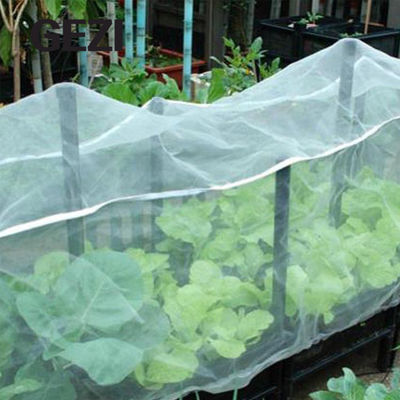 0.3×0.3mm 0.6×0.6mm  0.8×0.8mm 1.3×1.3mm Anti Insect Plastic Net Mesh for Garden Vegetable Cover Netting Factory supplier