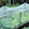 White garden insect net, Birds, plants and vegetables squirrel net, insect net 6.5 X 16 feet supplier