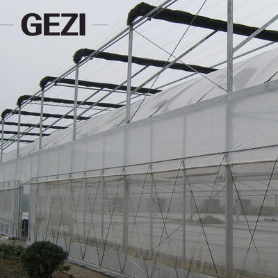 Carport Green Black Beige Color Garden Sun Shade Net Greenhouse Supplier for Windproof Net Factory supplier