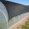 Agriculture 100% native HDPE insect-proof net, used for greenhouse vegetables, fruit trees, flowers, tree protection supplier