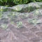 Plant coverings, 40 mesh anti insect net, suitable for vegetables, plants, fruits, flowers and crops supplier
