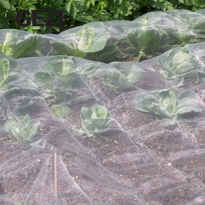 anti insect net mesh 50 with side seams Used to protect plants, vegetables and fruits. Screen barrier net for pavilion supplier