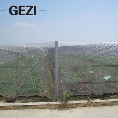 32 mesh anti insect net garden nets, pest barriers to protect the fruits of garden plants from bird pests, plant protect supplier