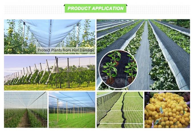 100% HDPE Anti Insect Mesh Netting For Greenhouse With 1m-6m Width