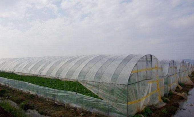 Agriculture Hail Protection Netting For Vegetable Greenhouse Tunnel Farming