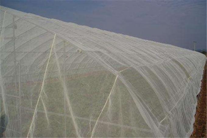 Transparent Insect Mesh Netting 20 Mesh Cabbage Root Fly Net ISO9001 Listed