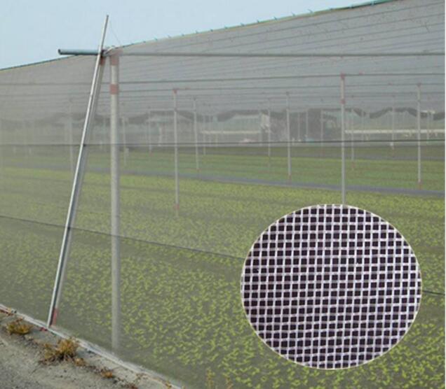 New Origin 100% HDPE Insect Protection Mesh , Insect Netting Fabric For Outdoor