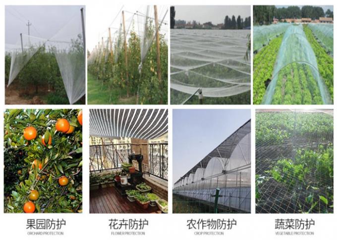 White Grape Orchard Insect Mesh Netting Pest Control Agricultural Protection Net