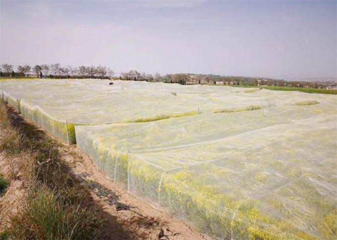 Agricultural Garden Crops Insect Mesh Netting Vegetables Flowers Fruits Cover Insect Proof