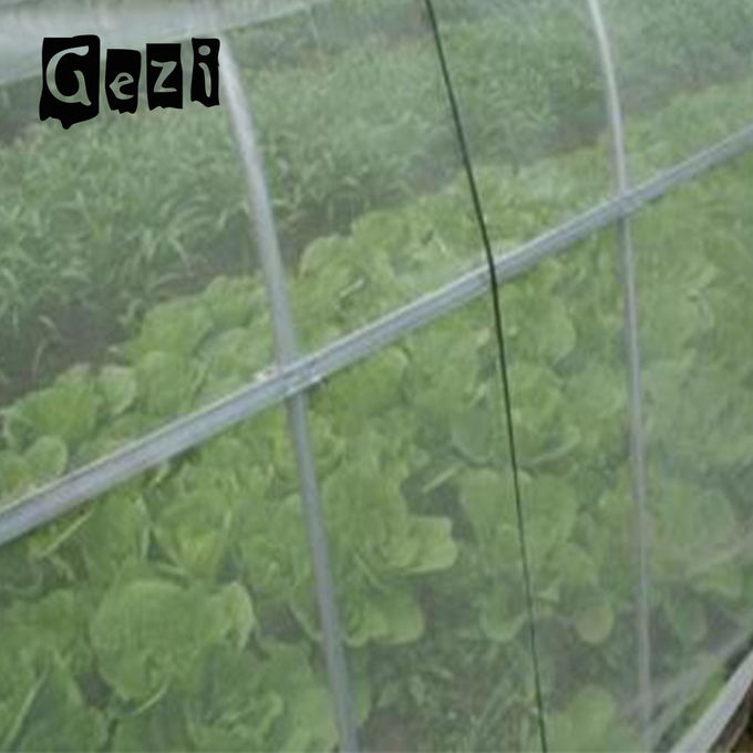 100% HDPE Insect Protection Mesh ISO 9001 Custom Color For Vegetables