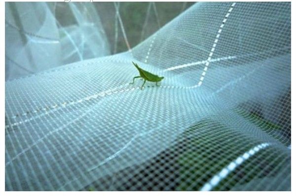 Custom Color Insect Mesh Netting For Greenhouse High Tensile Strength