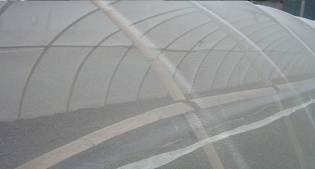 45gsm White Insect Mesh Netting For Anti Bees Agricultural Greenhouse