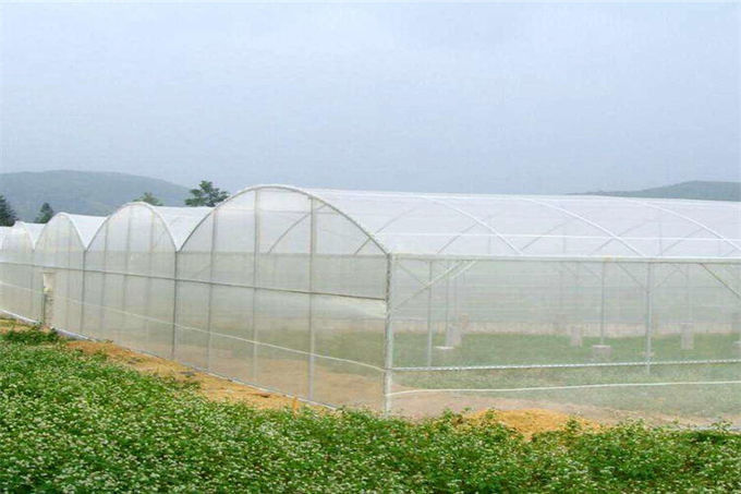 Width Customized Garden Insect Netting 100% New Original HDPE Materials