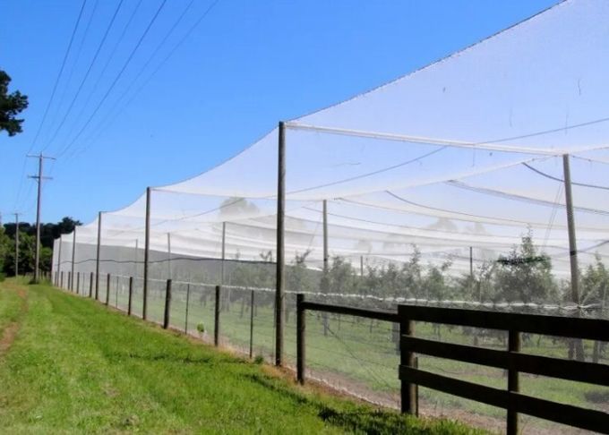 Agricultural Insect Mesh Protection Netting , Insect Fly Screen Mesh