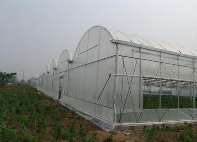 Greenhouses And Tunnels Insect Mesh Netting Plain Weave 0.3mm Wire Diameter