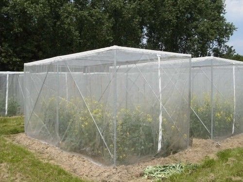 250 Meters Insect Screen Mesh ,100% HDPE Greenhouse Insect Protection Netting